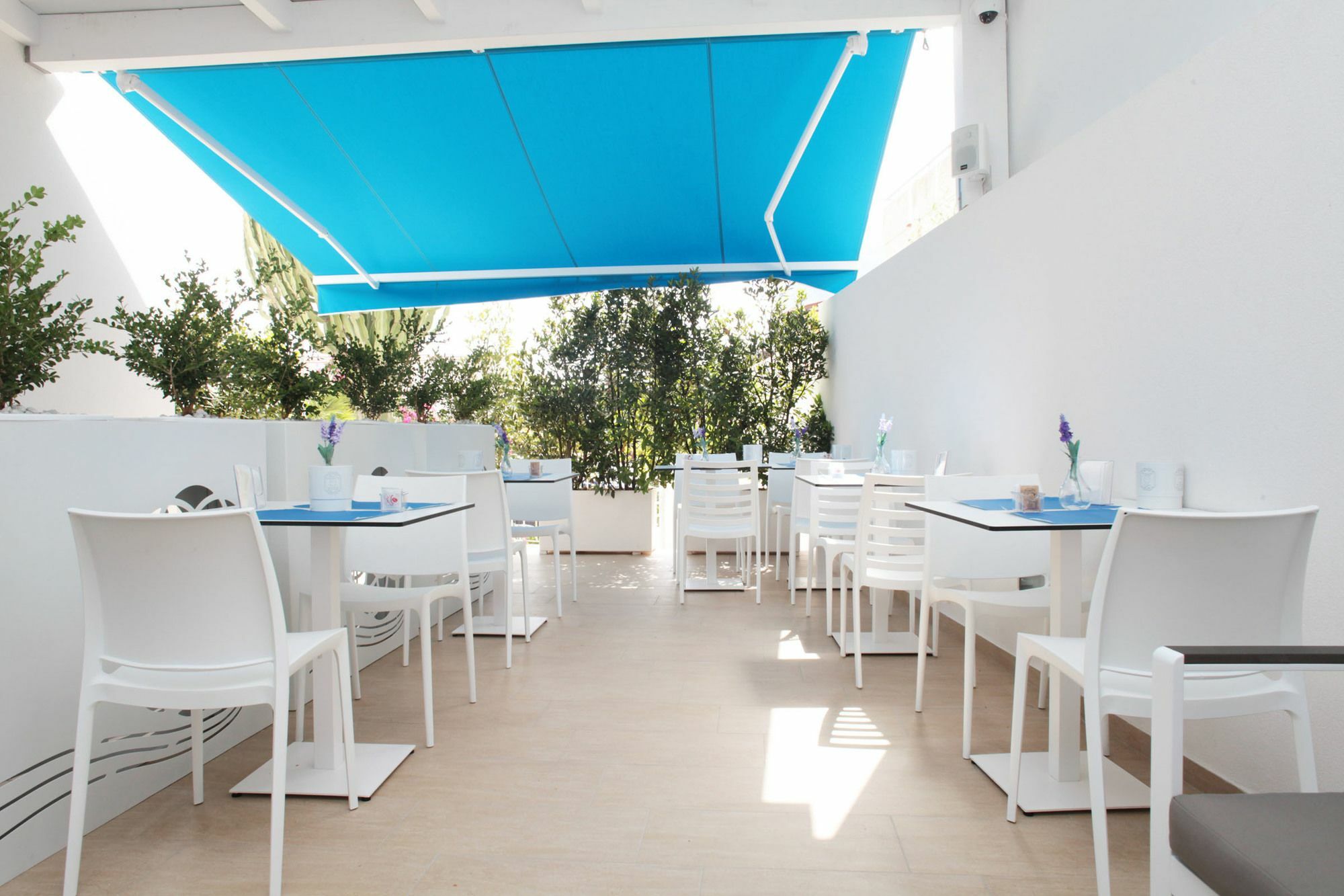 Rivazzurra Design Rooms San Vito Lo Capo Kültér fotó