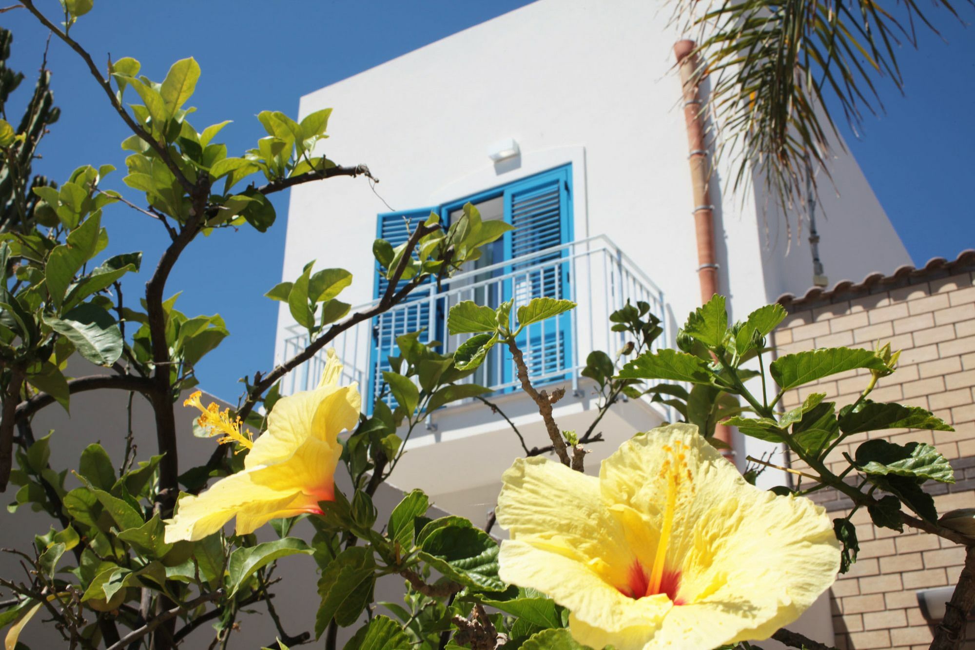 Rivazzurra Design Rooms San Vito Lo Capo Kültér fotó